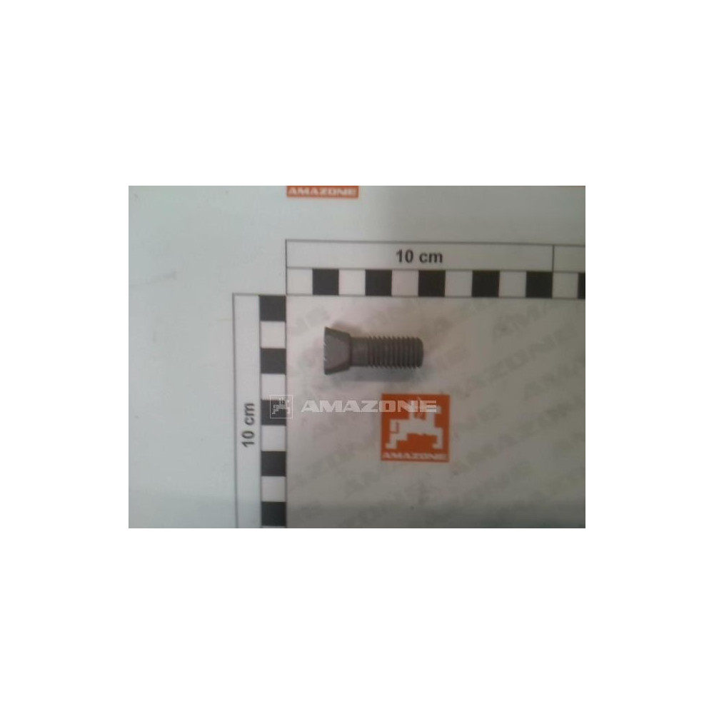 Vis 12X35 12.9 DD698 Amazone