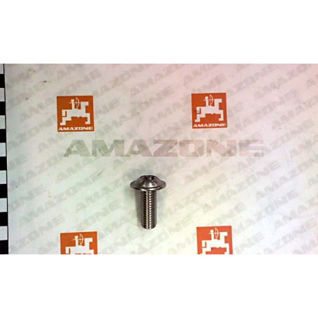 Vis Réf. DD699 - AMAZONE Vis Réf. DD699 - AMAZONE