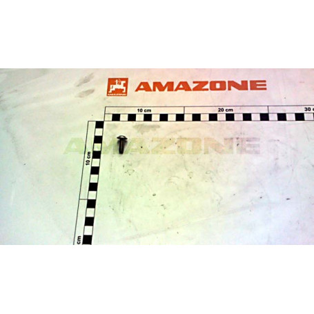 Vis 6X16 TX30 Réf. DD704 - AMAZONE Vis 6X16 TX30 Réf. DD704 - AMAZONE