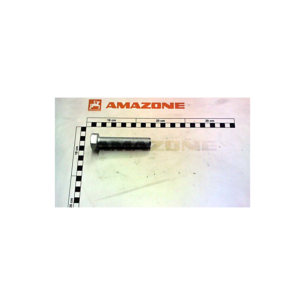 Vis 20 X 100 10.9 DD715 Amazone