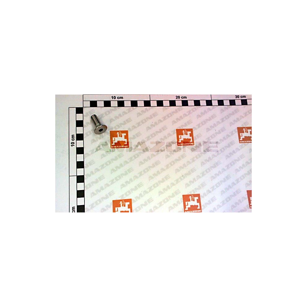Vis 10 X 25 DD726 Amazone