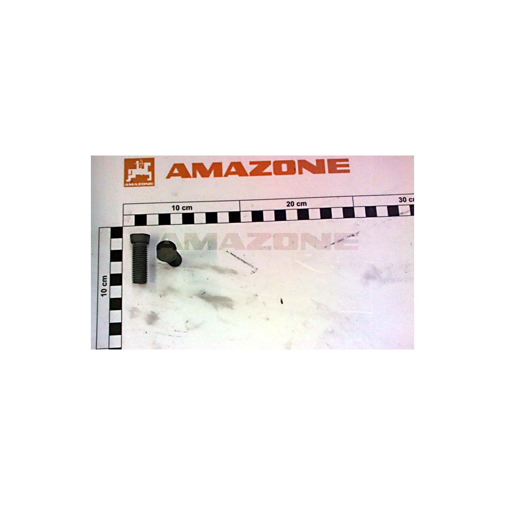 Vis 12 X 40 | par 25 U cone 15° DD738 Amazone