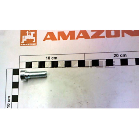 Vis 10 X 30 8.8 Réf. DD756 - AMAZONE Vis 10 X 30 8.8 Réf. DD756 - AMAZONE