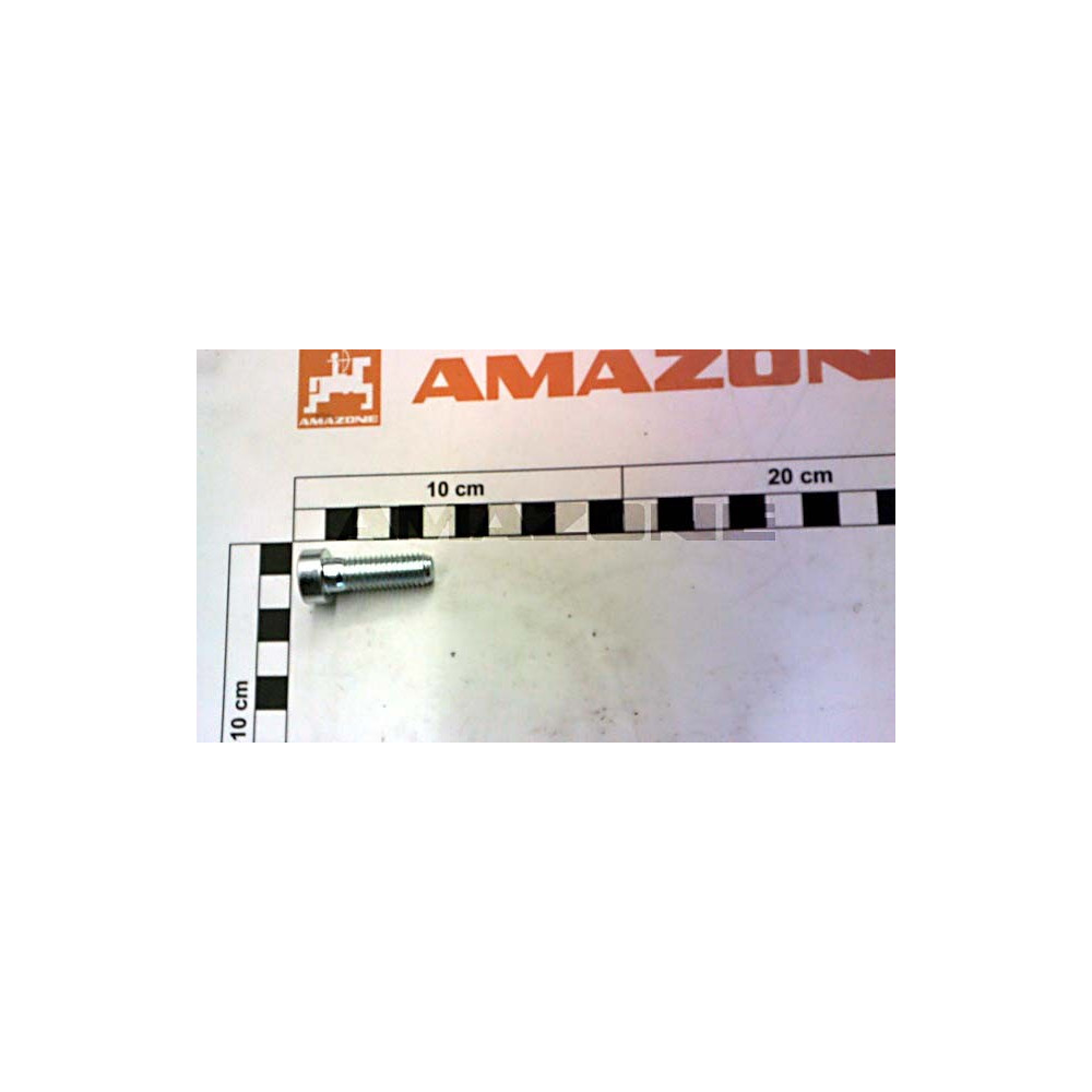 Vis 10 X 30 8.8 DD756 Amazone