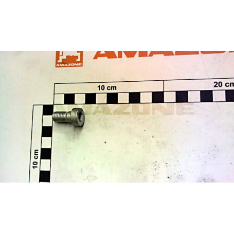 Vis 10 X 20 Réf. DD766 - AMAZONE Vis 10 X 20 Réf. DD766 - AMAZONE