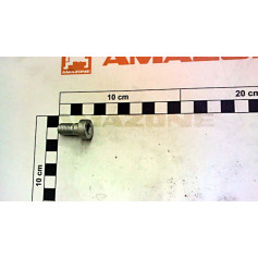 Vis 10 X 20 Réf. DD766 - AMAZONE Vis 10 X 20 Réf. DD766 - AMAZONE