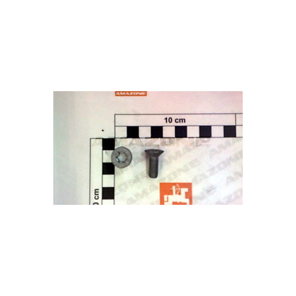 Vis 8X22 10.9 DD768 Amazone