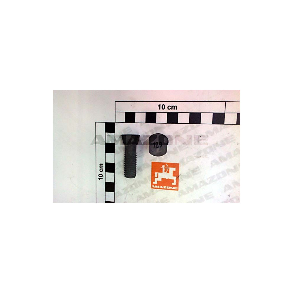 Vis M12X40 | par 50 U cone 30° DD790 Amazone