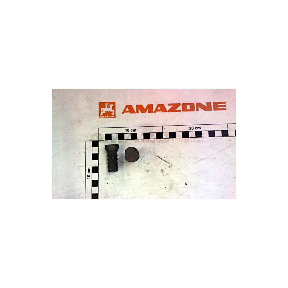 Vis 16 X 40 | par 25 U DD792 Amazone