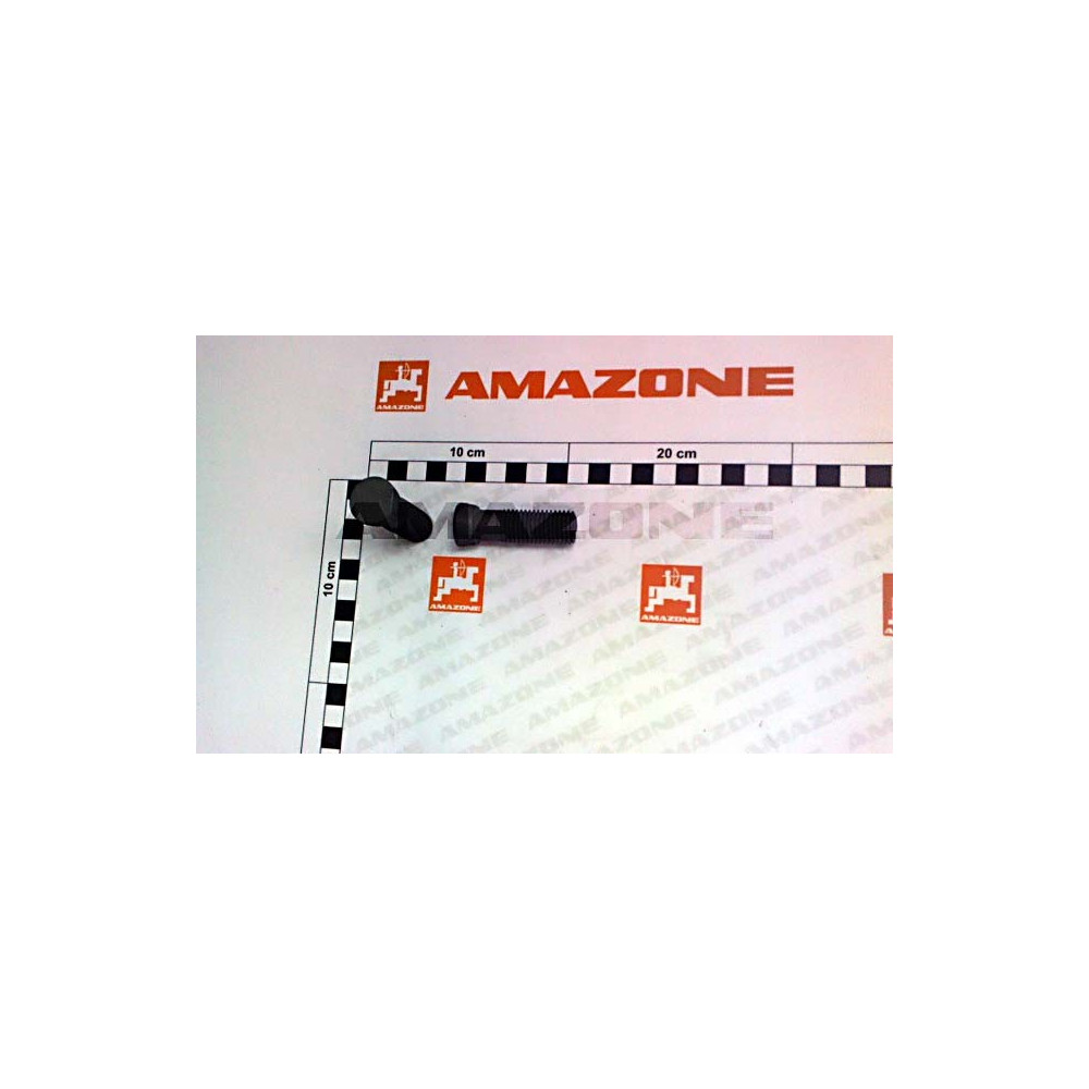 Vis M16X55 | par 10 U DD793 Amazone