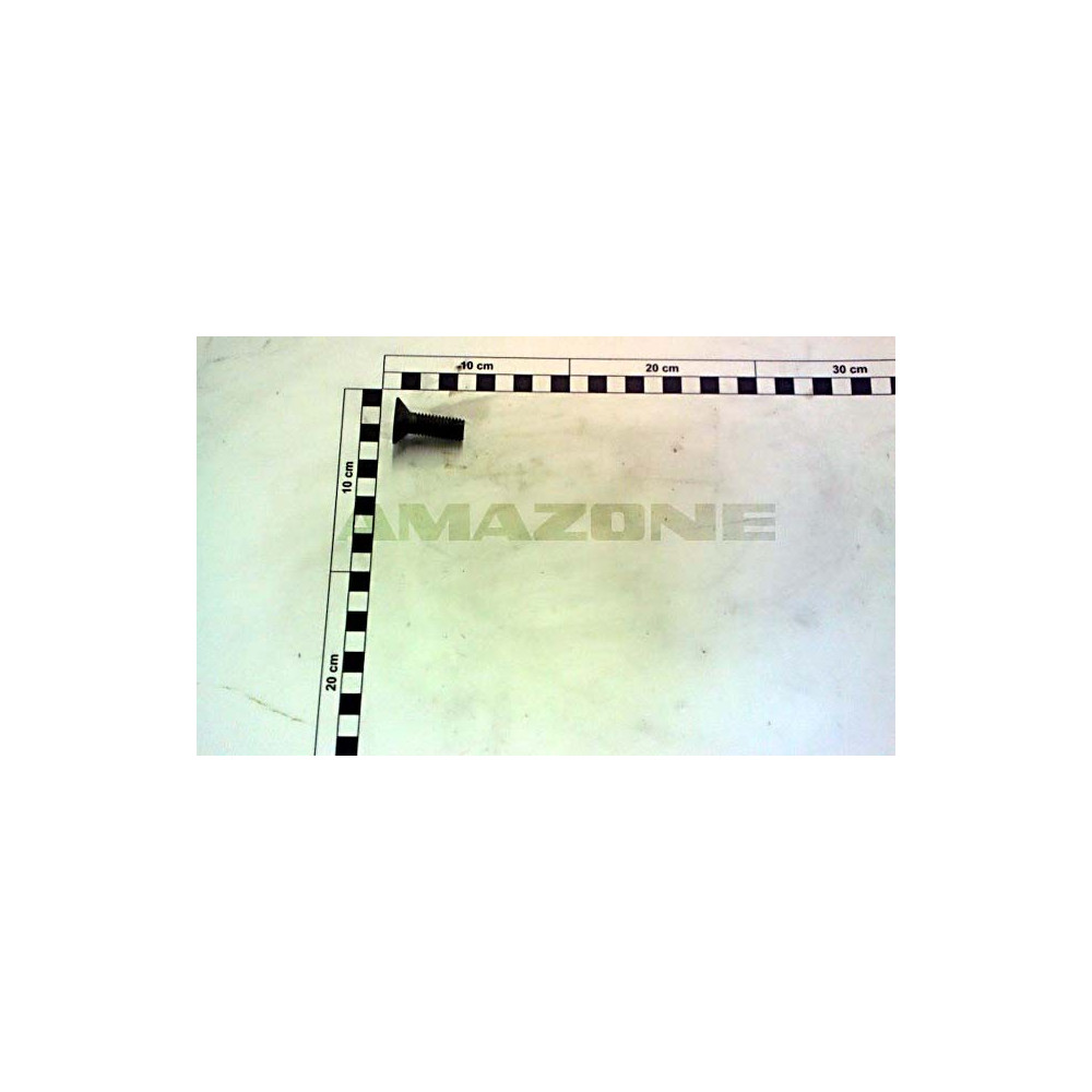 Vis M12 X 35 | par 25 U DD794 Amazone