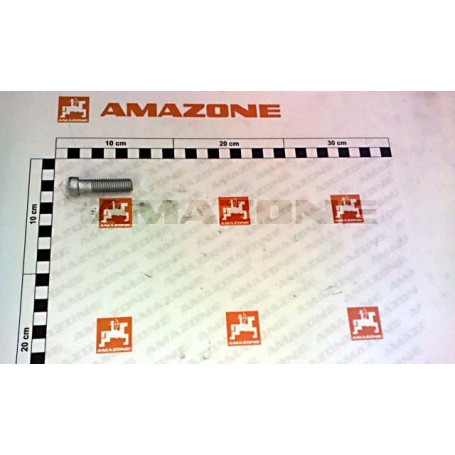 Vis 12 X 50 12.9 Réf. DD799 - AMAZONE Vis 12 X 50 12.9 Réf. DD799 - AMAZONE