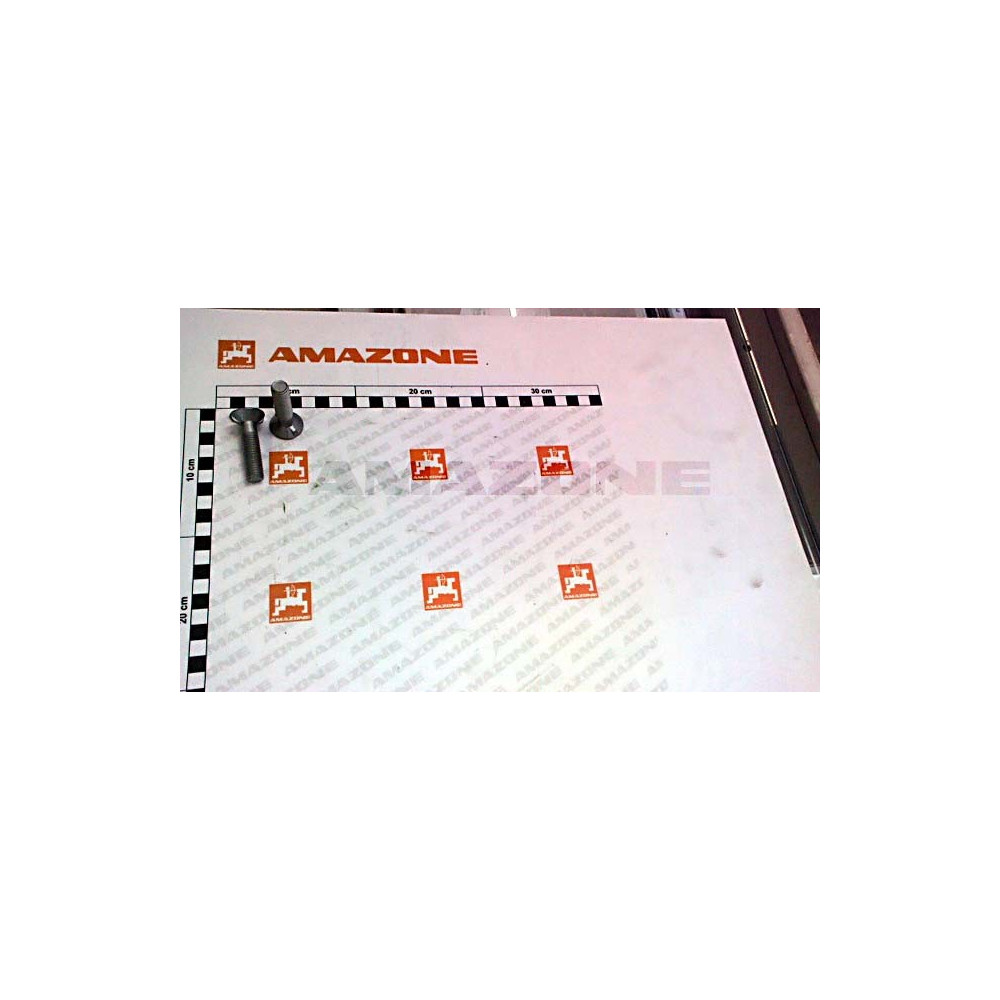 Vis 12 X 50 10.9 DD796 Amazone