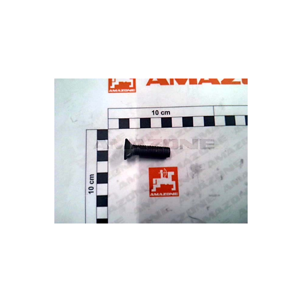 Vis 10 X 40 10.9 DD805 Amazone