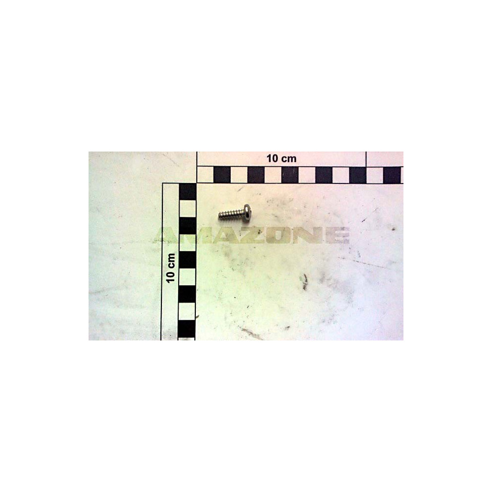 Vis 4.8 X 16 fermeture porte JET DD806 Amazone