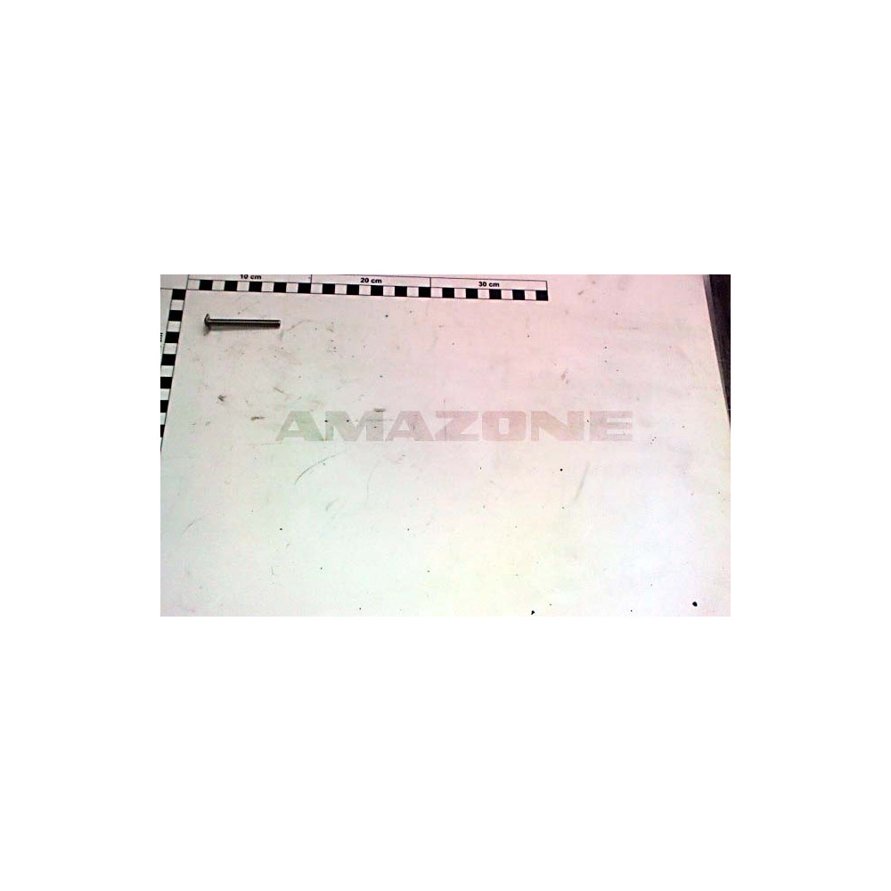 Vis 6 X 55 DD813 Amazone