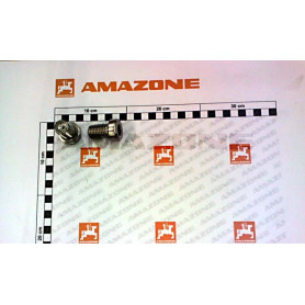Vis 20X 30 7984 A2-70 DD837 Amazone