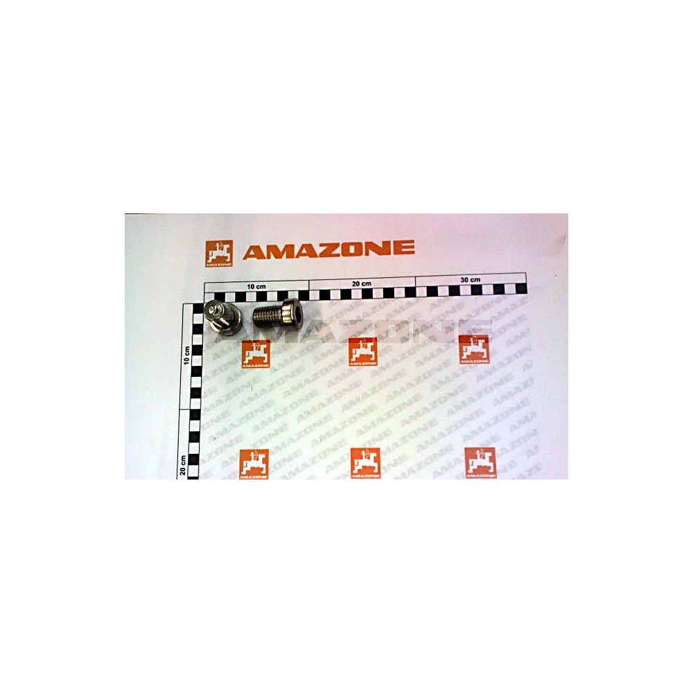 Vis 20X 30 7984 A2-70 DD837 Amazone