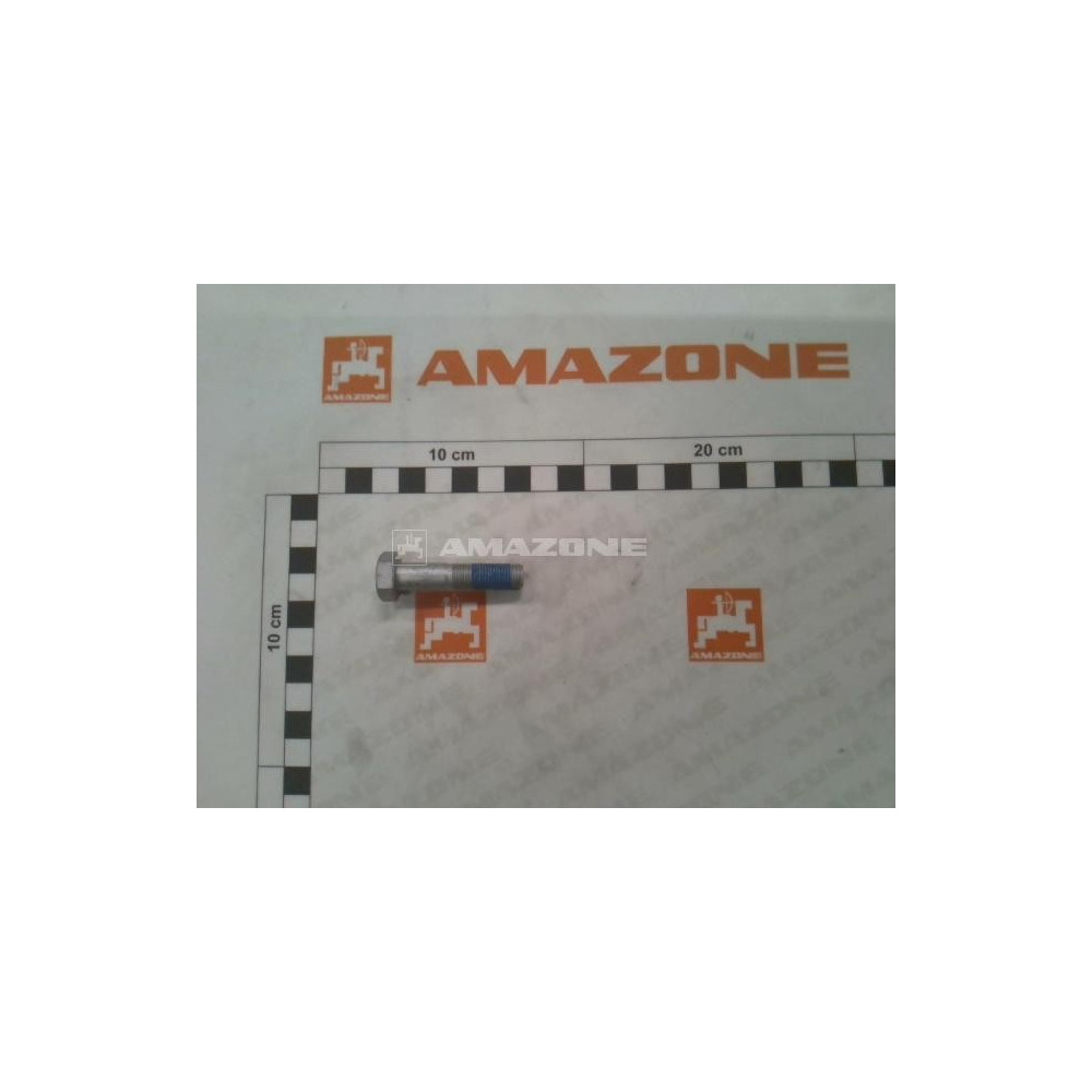 Vis 10 X 1 X 45 DD847 Amazone