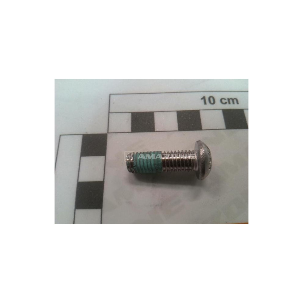 Vis A tete bombée 8X25 DD931 Amazone