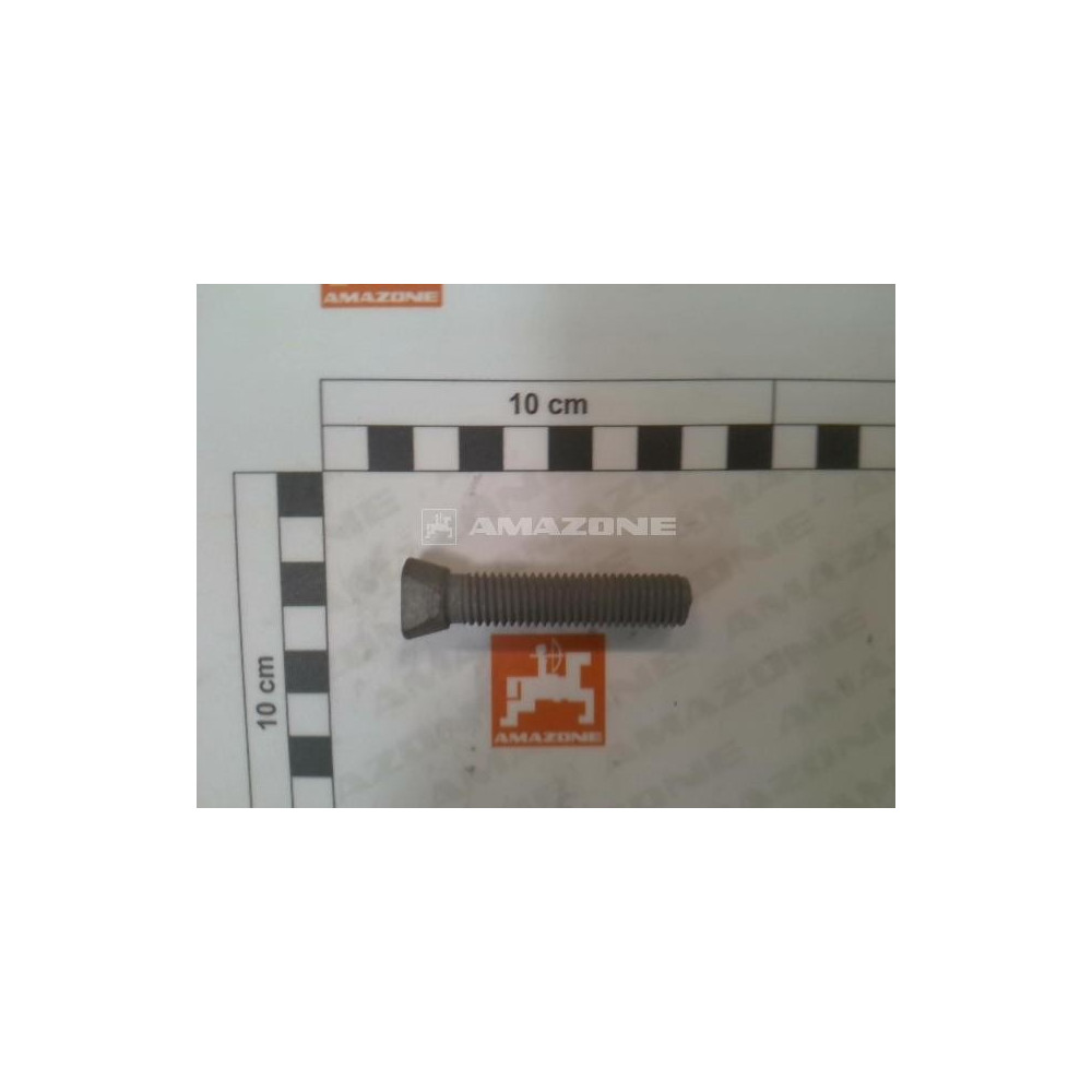 Vis M12X60 12.9 DD930 Amazone