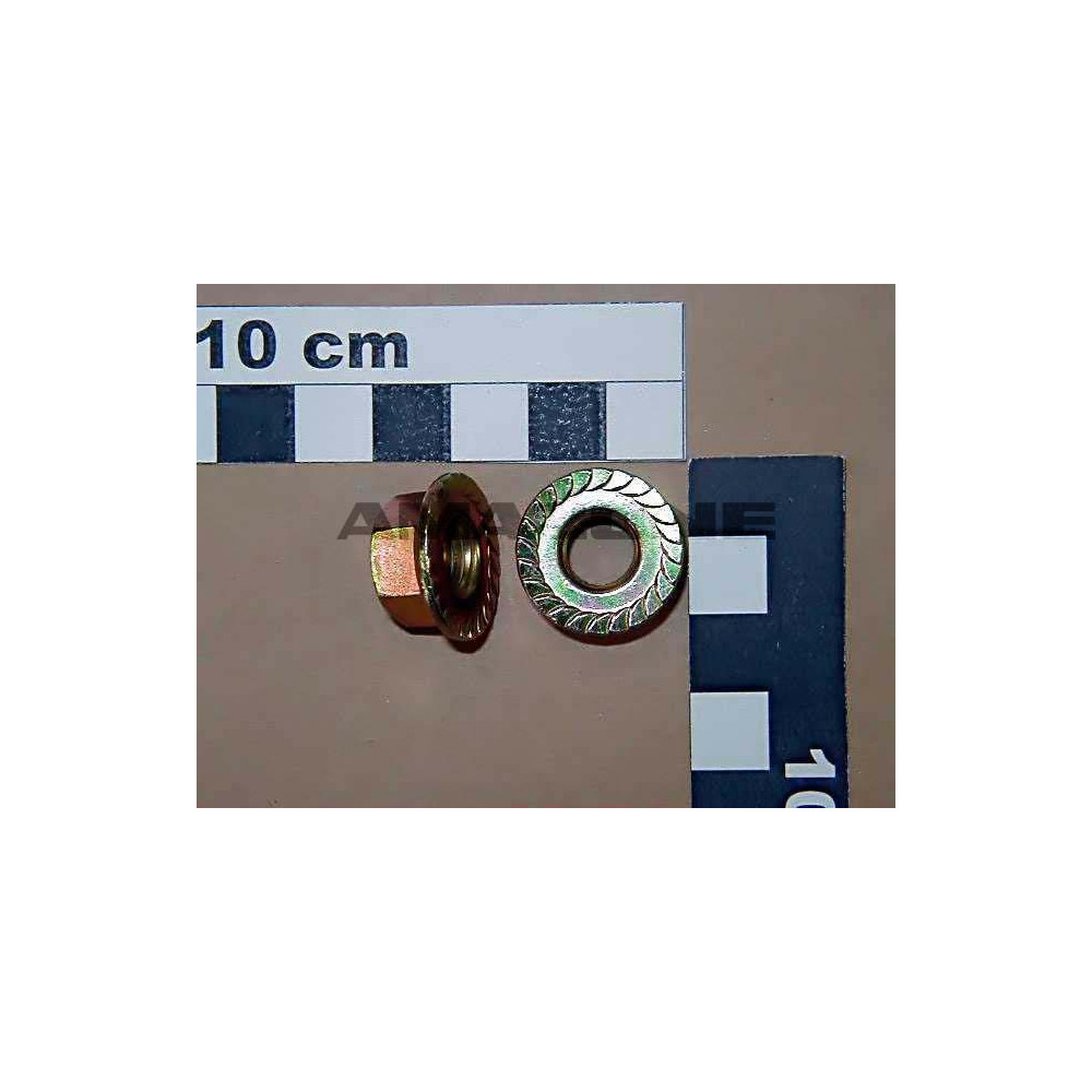 Ecrou 10 W193 100 A2G DE225 Amazone