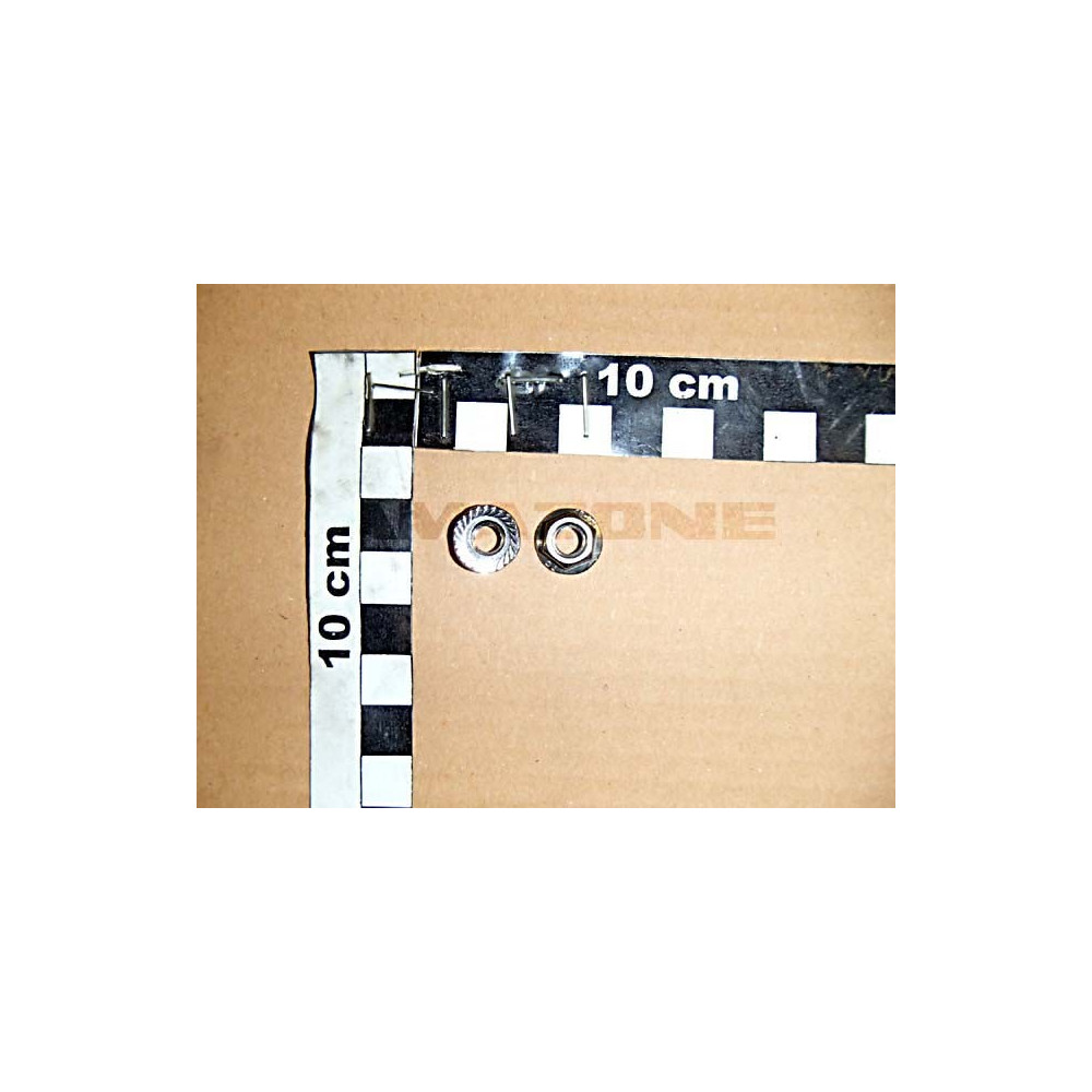 Ecrou HEX M 6 A4-70 DE408 Amazone