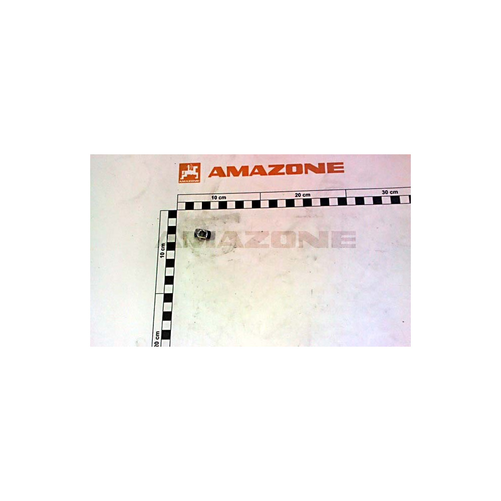Ecrou prisonnier D 8 DE569 Amazone