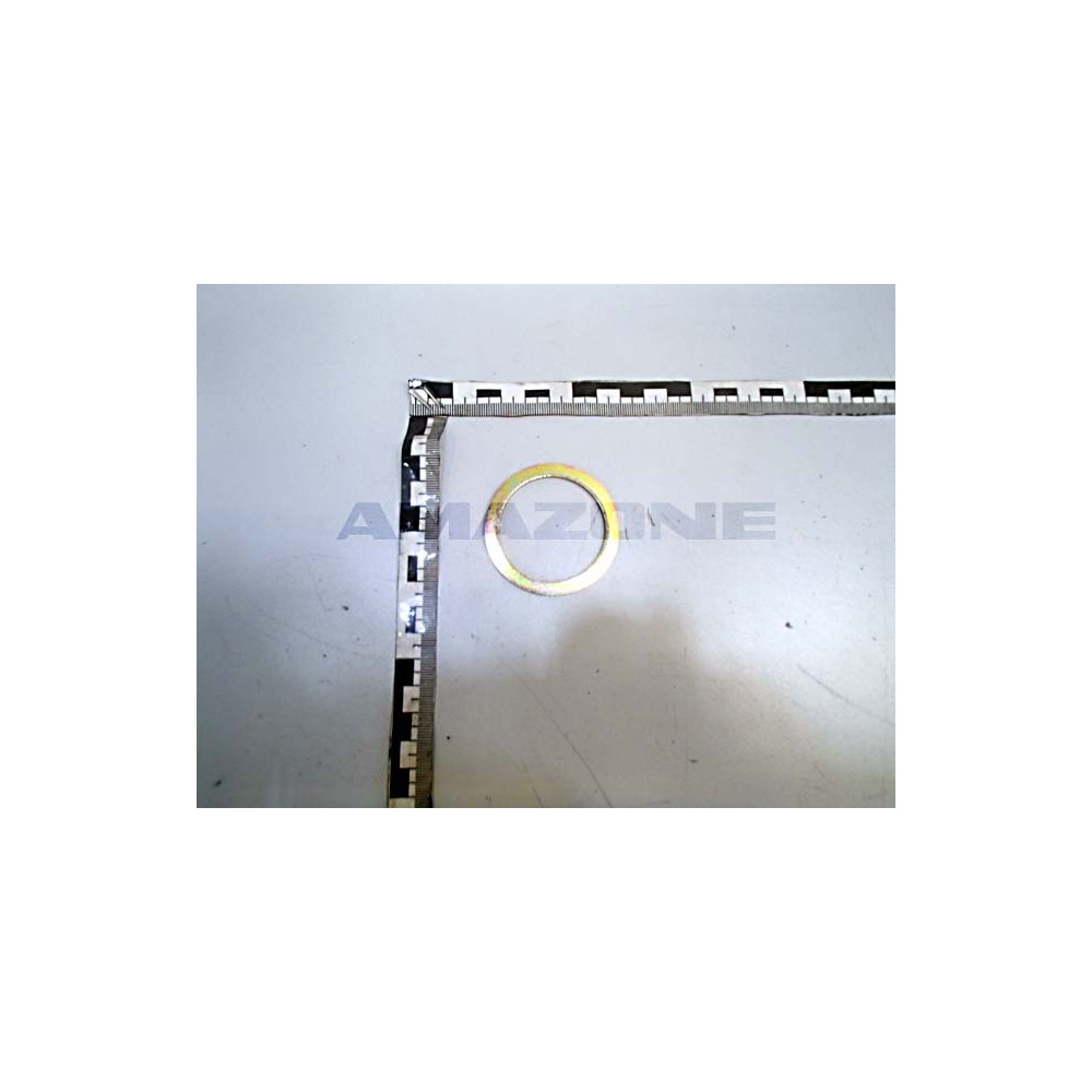 Bague 42X54X2 DF122 Amazone