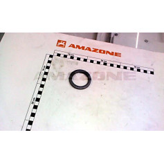 Rondelle 45X60X6 Réf. DF226 - AMAZONE