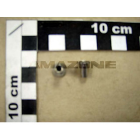 Rivet 4.8x10.8 DH069 Amazone