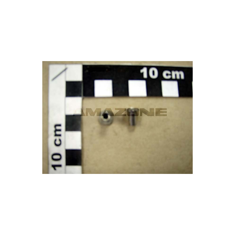 Rivet 4.8x10.8 DH069 Amazone