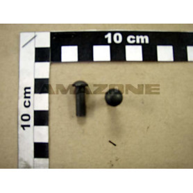 Rivet 6X18 DH096 Amazone