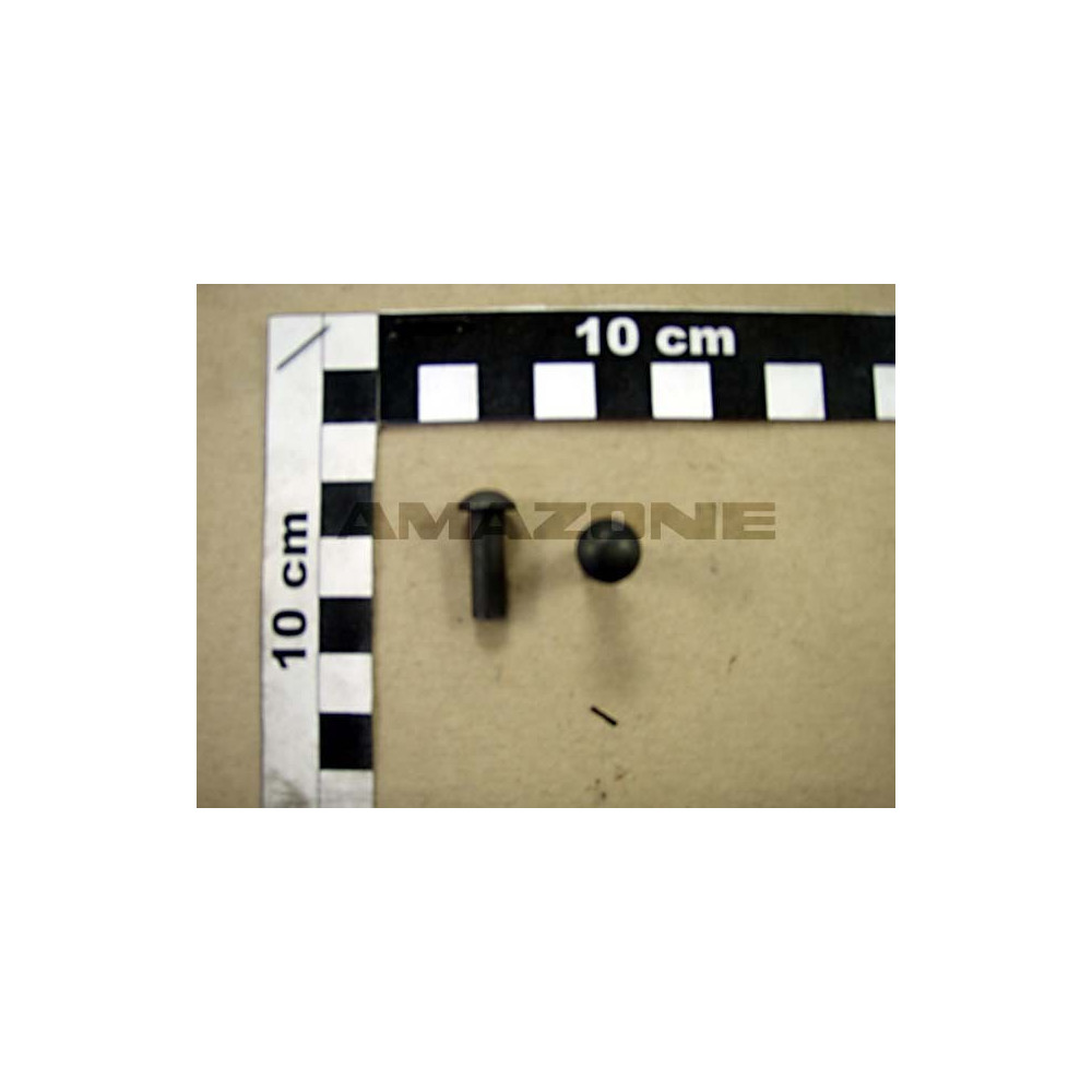Rivet 6X18 DH096 Amazone