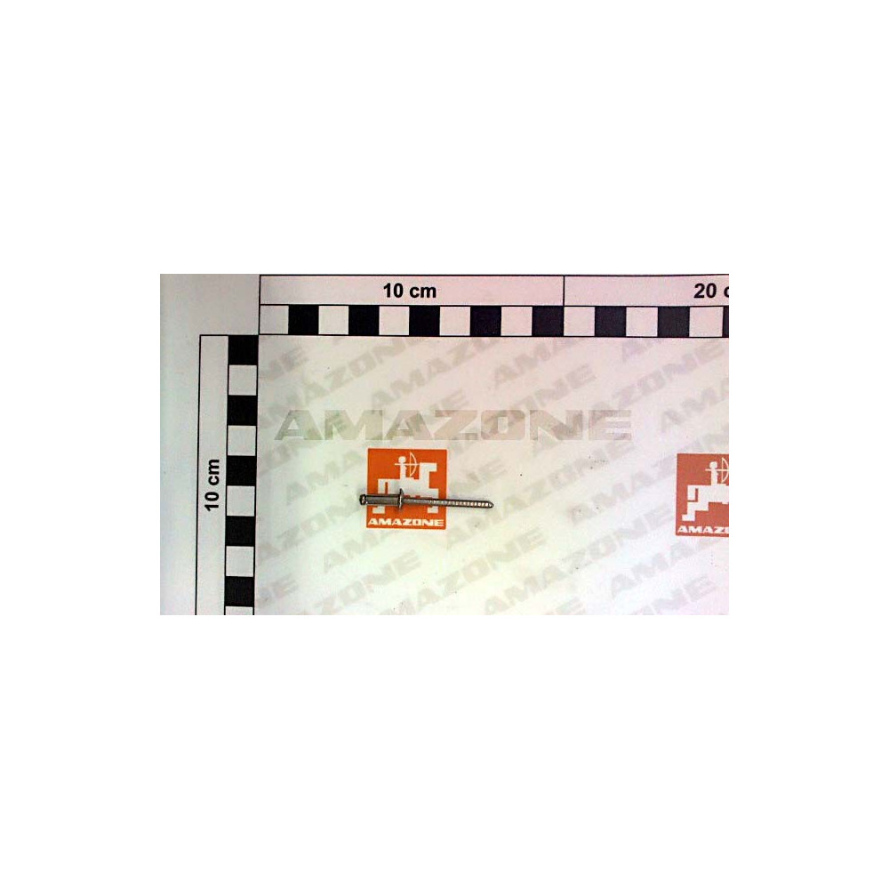 Rivet 3.2 X 10.0 A2 DH099 Amazone