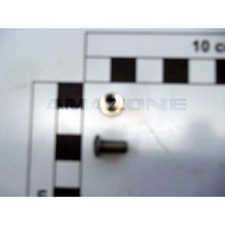 Rivet 4.8x1.5 a2 réf. dh119 Amazone Rivet 4.8x1.5 a2 réf. dh119 Amazone