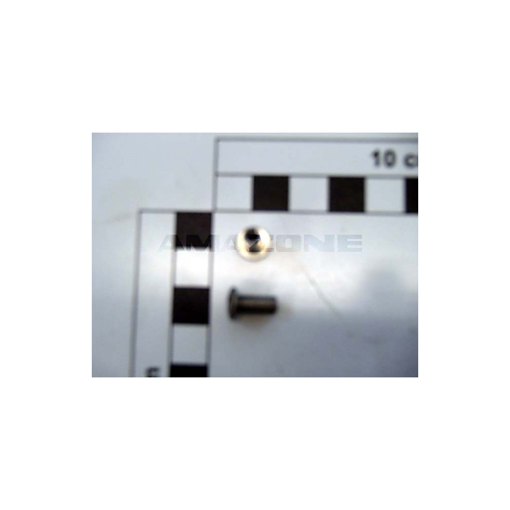Rivet 4.8x1.5 a2 DH119 Amazone