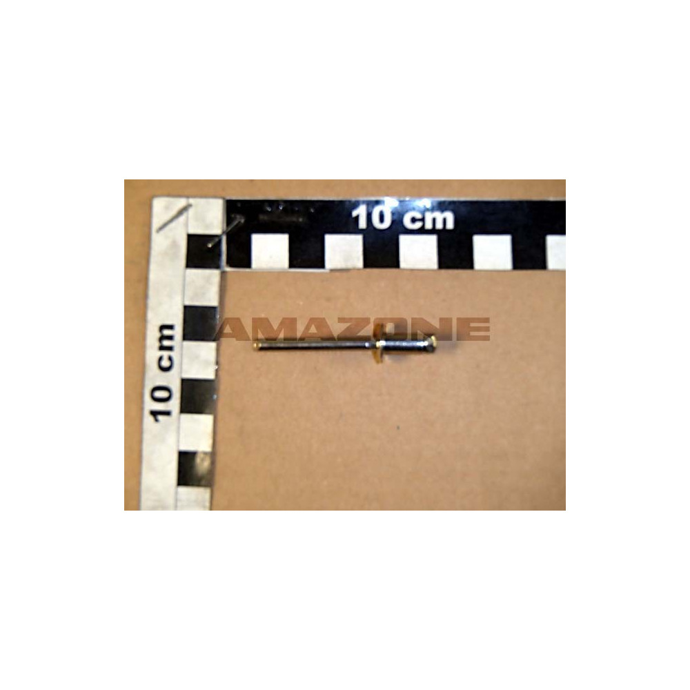 Rivet 6,0X10,0 DH153 Amazone