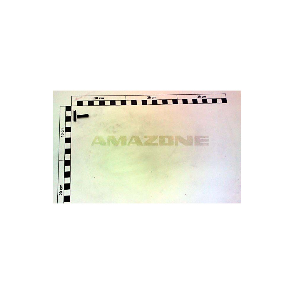Goupille 04X20 8752 DI017 Amazone