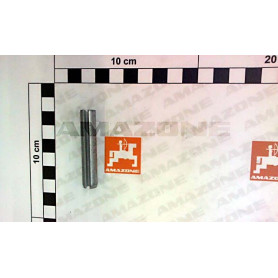 Goupille 10X55 8752 DI082 Amazone