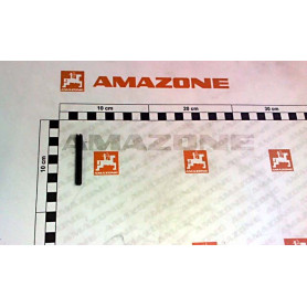 Goupille 06X55 8752 DI163 Amazone