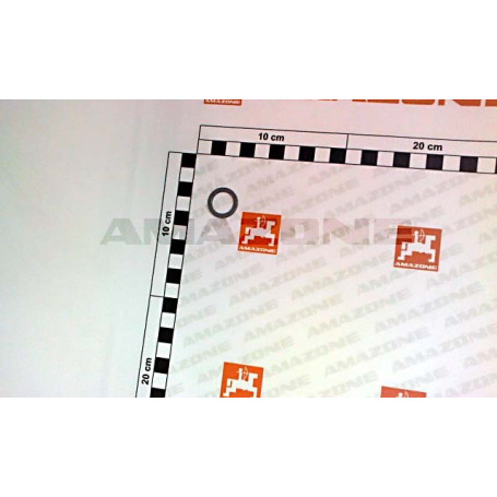 ROND.15X21.1X1.5 DIN98 Réf. DL014 AMAZONE ROND.15X21.1X1.5 DIN98 Réf. DL014 AMAZONE