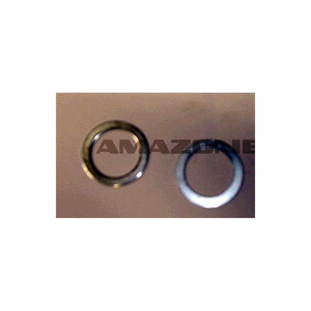 Rond.cal.20x28x1,0 DIN98 DL033 Amazone