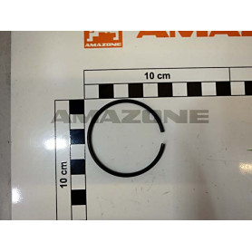 Anneau 7993A 50 FST DL277 Amazone