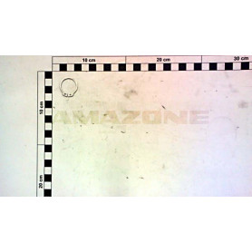 Circlip DL383 Amazone