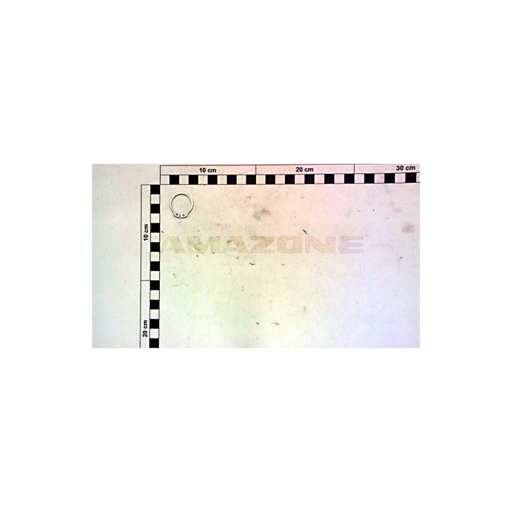 Circlip DL383 Amazone