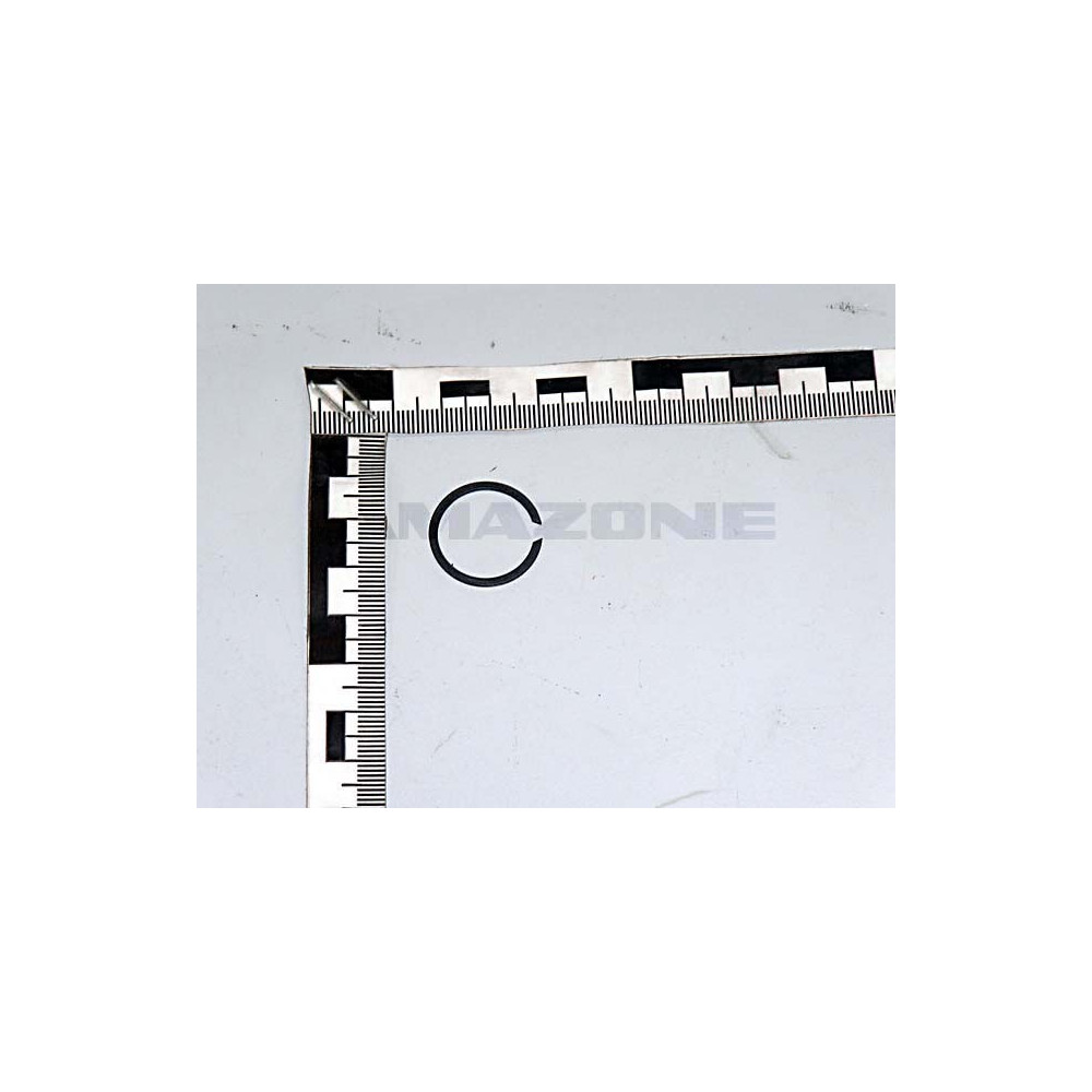 Anneau DL385 Amazone