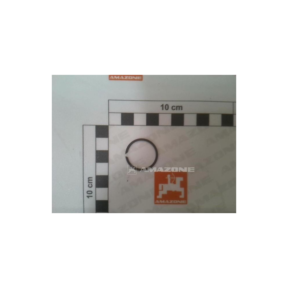 Rondelle DL467 Amazone