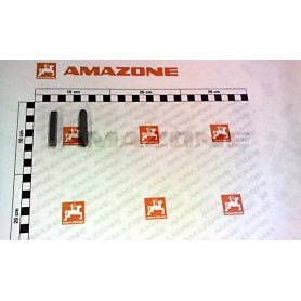 Clavette DM019 Amazone