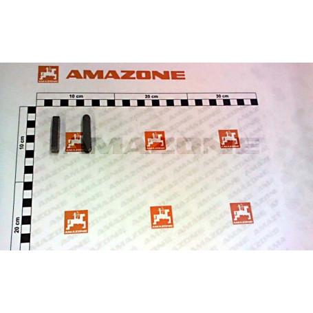 CLAVETTE Réf. DM019 AMAZONE CLAVETTE Réf. DM019 AMAZONE